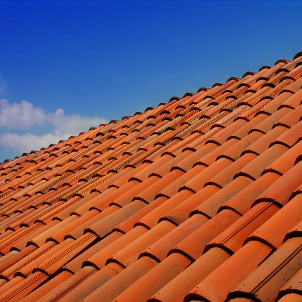 Treat Roofs Pest Control Riverside San Diego Counties Treat Roofs Pest Control Riverside San Diego Counties