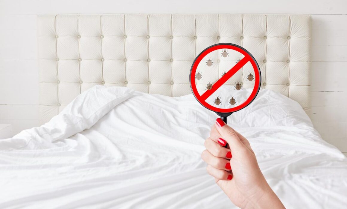 The Rise of Bed Bugs in US Hotels: Tips to Avoid Infestations